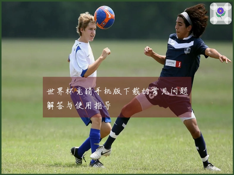 世界杯竞猜手机版下载的常见问题解答与使用指导